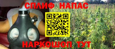 бошки Абакан