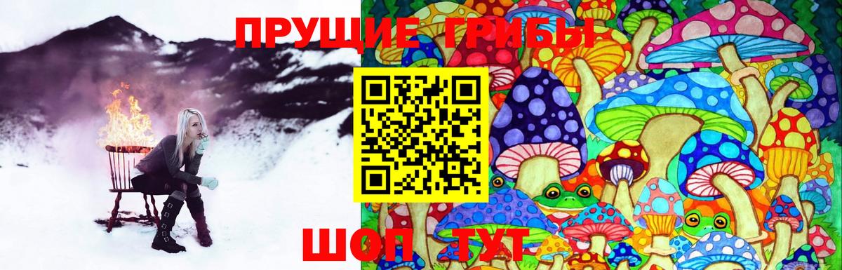наркотики  Псилоцибиновые грибы GOLDEN TEACHER  Вход с VPN  Артём 