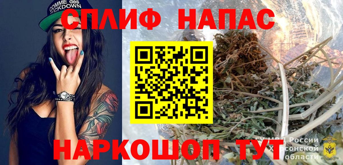 Бошки Шишки планчик  Конопля планчик  Артём 